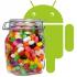 Jelly Bean - имя версии Android, которая выйдет после Ice Cream Sandwich