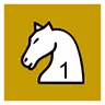 9 Knights