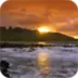 Nature Wallpaper Puzzle