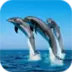 Ocean Life Puzzle
