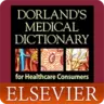 Dorland’s Medical Dictionary