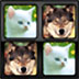 SwapMe: Animals