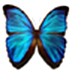 Butterfly Wallpaper