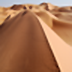 Desert Wallpaper