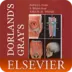 Dorland's Gray's Pocket Atlas of Anatomy