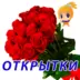 Поздравуха