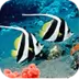Aquarium Live Wallpaper
