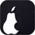 iPhone 4S Screen