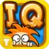 IQ Test