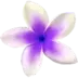 Flowers Wallpaper