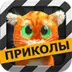 Шутки от говорящего Барсика