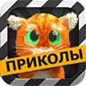 Шутки от говорящего Барсика