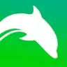 Dolphin Classic